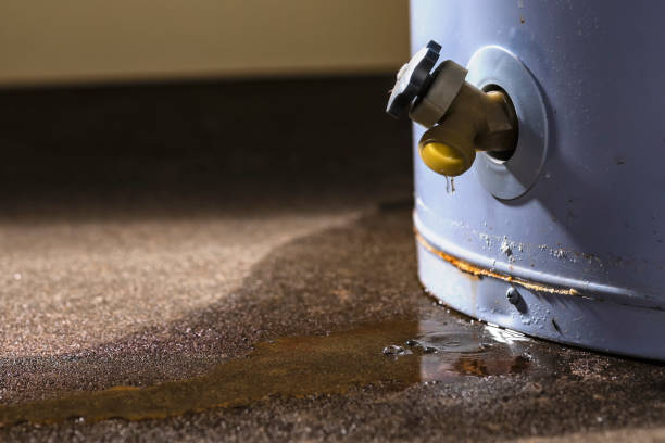 Best Water damage restoration near me  in Lawrence, IN