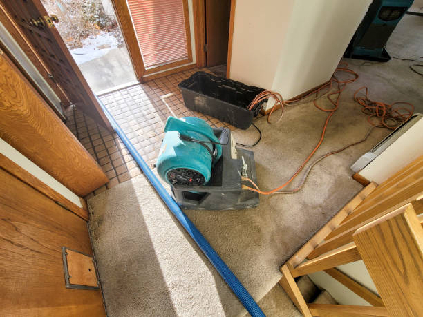 Reliable Lawrence, IN Water damage restoration Solutions