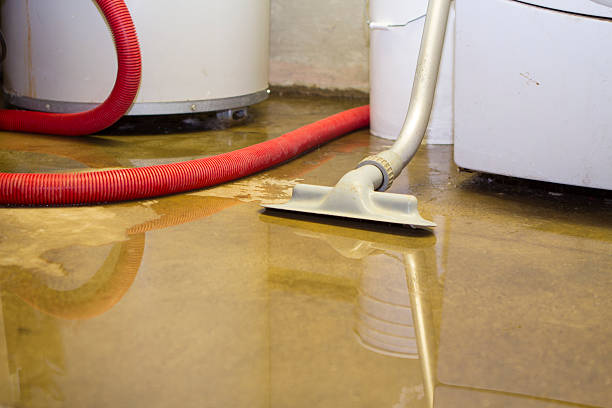 Best 24/7 water damage repair  in Lawrence, IN